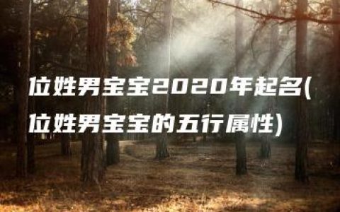 位姓男宝宝2020年起名(位姓男宝宝的五行属性)