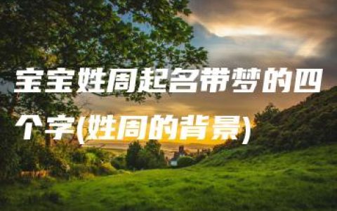 宝宝姓周起名带梦的四个字(姓周的背景)