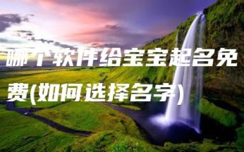 哪个软件给宝宝起名免费(如何选择名字)