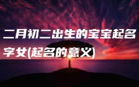 二月初二出生的宝宝起名字女(起名的意义)