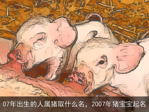 07年出生的人属猪取什么名，2007年猪宝宝起名