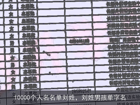 10000个人名名单刘姓，刘姓男孩单字名