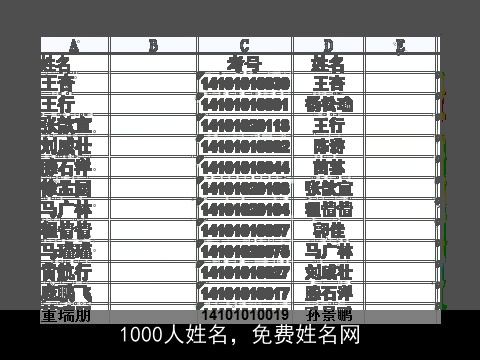 1000人姓名，免费姓名网