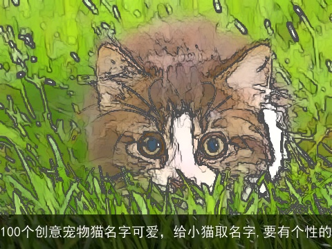 100个创意宠物猫名字可爱，给小猫取名字,要有个性的