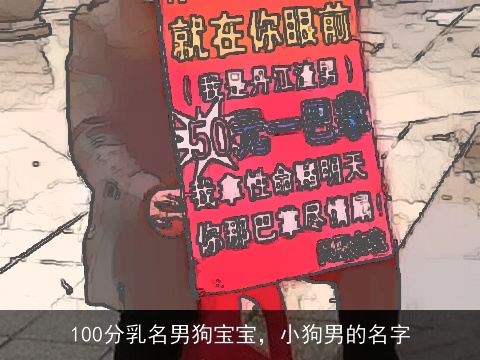 100分乳名男狗宝宝，小狗男的名字