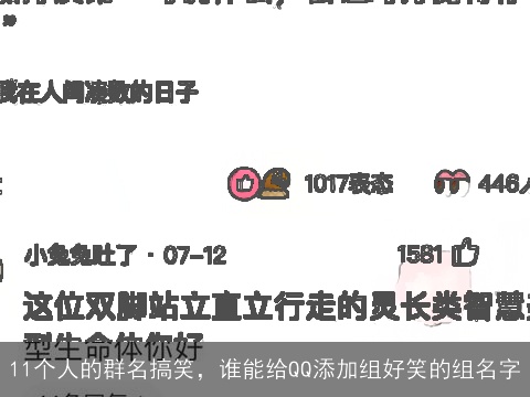 11个人的群名搞笑，谁能给QQ添加组好笑的组名字