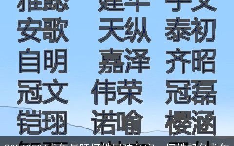 20242024龙年最旺何姓男孩名字，何姓起名龙年