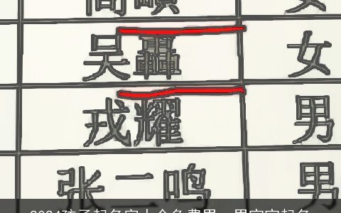 2024孩子起名字大全免费男，男宝宝起名