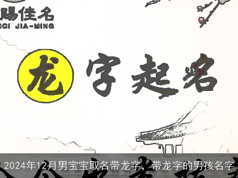 2024年12月男宝宝取名带龙字，带龙字的男孩名字