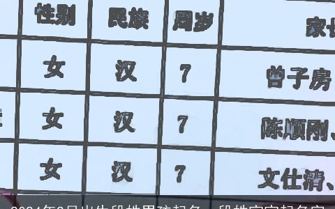 2024年2月出生段姓男孩起名，段姓宝宝起名字