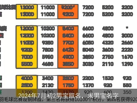 2024年7月初2男宝取名，求男宝名字