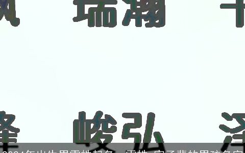 2024年出生男雷姓起名，雷姓,家子辈的男孩名字