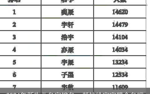 2024年新生儿名字排名，帮忙给宝宝想个名吧