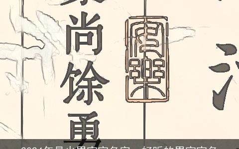 2024年最火男宝宝名字，好听的男宝宝名