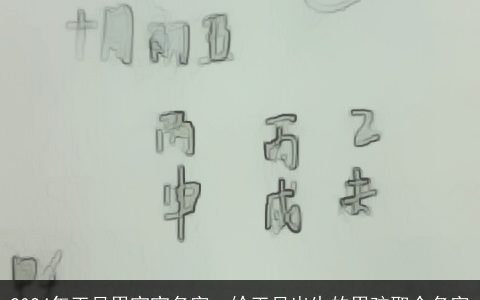 2024年正月男宝宝名字，给正月出生的男孩取个名字