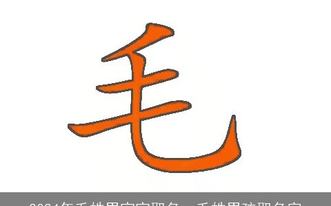 2024年毛姓男宝宝取名，毛姓男孩取名字