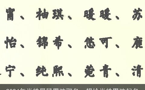 2024年肖姓属鼠男孩取名，想给肖姓男孩起名