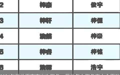 2024年蔡姓男宝宝出生取名，蔡姓怎么取名字大全男孩