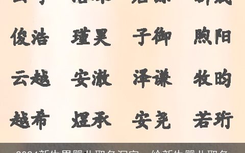 2024新生男婴儿取名沉字，给新生婴儿取名