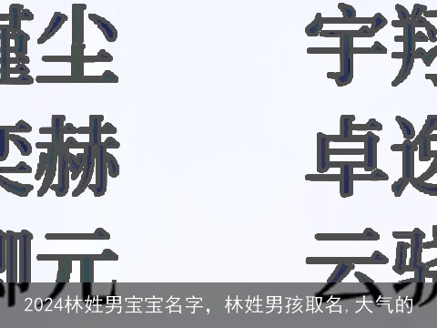 2024林姓男宝宝名字，林姓男孩取名,大气的