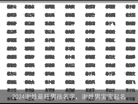 2024谢姓最旺男孩名字，谢姓男宝宝起名