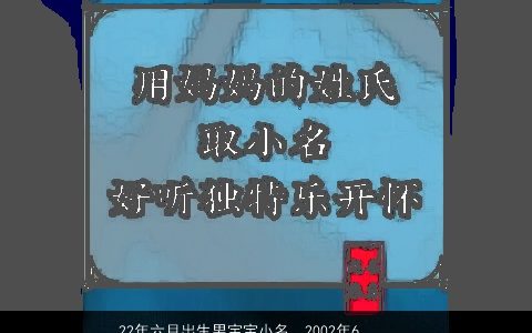 22年六月出生男宝宝小名，2002年6月2日出生的男孩子,请各位高手帮取个名字