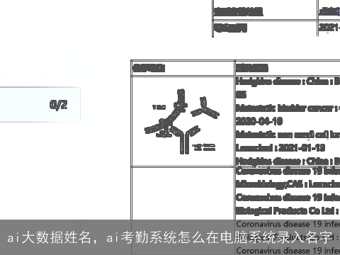 ai大数据姓名，ai考勤系统怎么在电脑系统录入名字