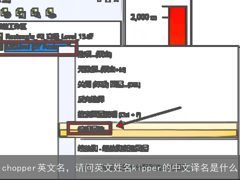 chopper英文名，请问英文姓名kipper的中文译名是什么