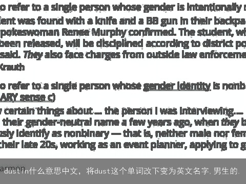 dustin什么意思中文，将dust这个单词改下变为英文名字,男生的.