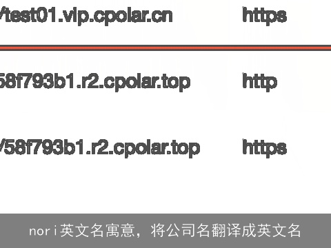 nori英文名寓意，将公司名翻译成英文名