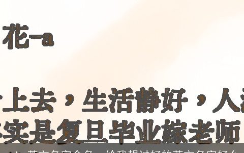 pubg英文名字全名，给我想过好的英文名字好么