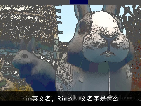 rim英文名，Rim的中文名字是什么