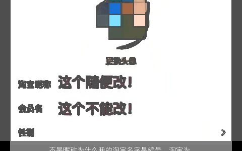 不是昵称为什么我的淘宝名字是编号，淘宝为什么别人跟我聊天老不显示店名,老是一排编号