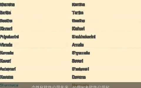 个性化软件公司名字，公司起名软件公司起名,网络公司起名,个性化公司名称.急急