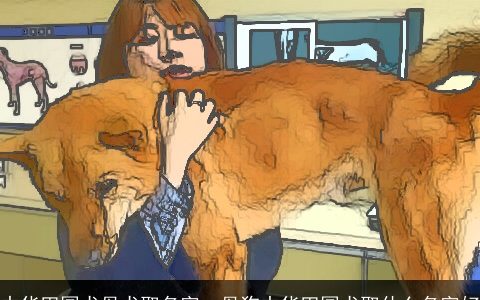 中华田园犬母犬取名字，母狗中华田园犬取什么名字好