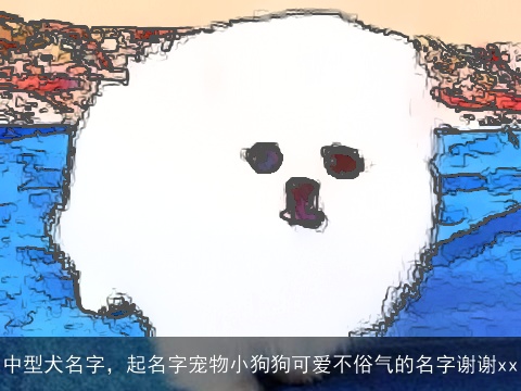 中型犬名字，起名字宠物小狗狗可爱不俗气的名字谢谢xx