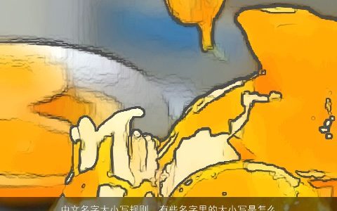 中文名字大小写规则，有些名字里的大小写是怎么区分的,比如miHoYo和YoRHa,...