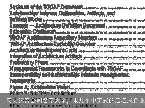 中英文谐音公司名字大全，求几个中英式的店名或企业