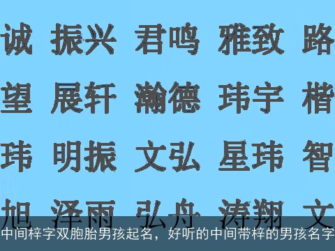 中间梓字双胞胎男孩起名，好听的中间带梓的男孩名字