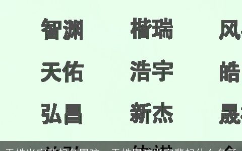 于姓兴字辈起名男孩，于姓男孩兴字辈起什么名子