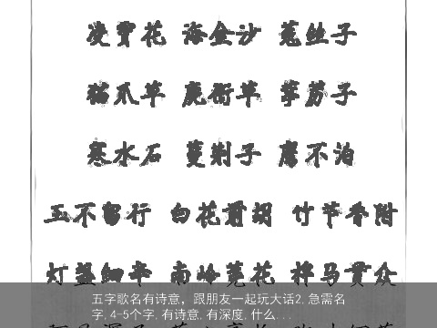 五字歌名有诗意，跟朋友一起玩大话2,急需名字,4-5个字,有诗意,有深度,什么...