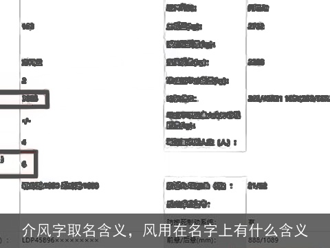 介风字取名含义，风用在名字上有什么含义