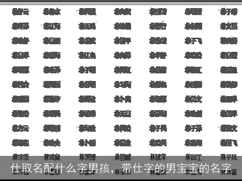 仕取名配什么字男孩，带仕字的男宝宝的名字