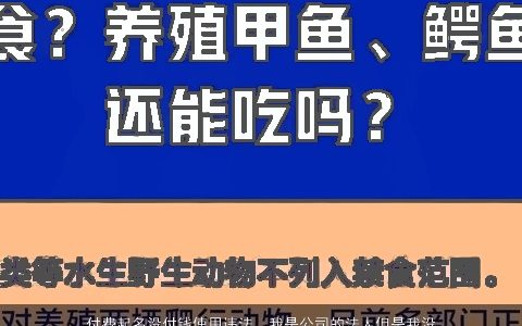 付费起名没付钱使用违法，我是公司的法人但是我没有出钱就是挂我的名字而已如果公司有什么违...