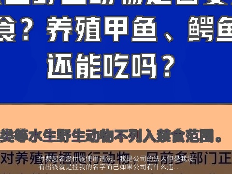 付费起名没付钱使用违法，我是公司的法人但是我没有出钱就是挂我的名字而已如果公司有什么违...