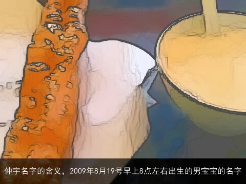 仲宇名字的含义，2009年8月19号早上8点左右出生的男宝宝的名字