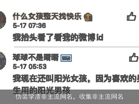 伪装学渣非主流网名，收集非主流网名
