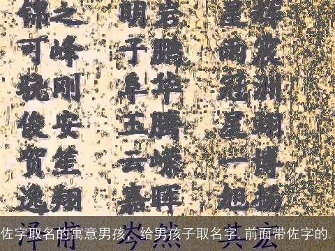 佐字取名的寓意男孩，给男孩子取名字,前面带佐字的.