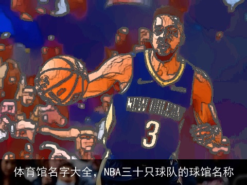 体育馆名字大全，NBA三十只球队的球馆名称