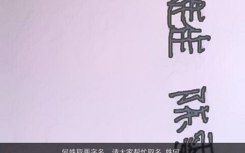 何姓取两字名，请大家帮忙取名,姓何,女孩,两字或三字名均可.谢谢大家了.